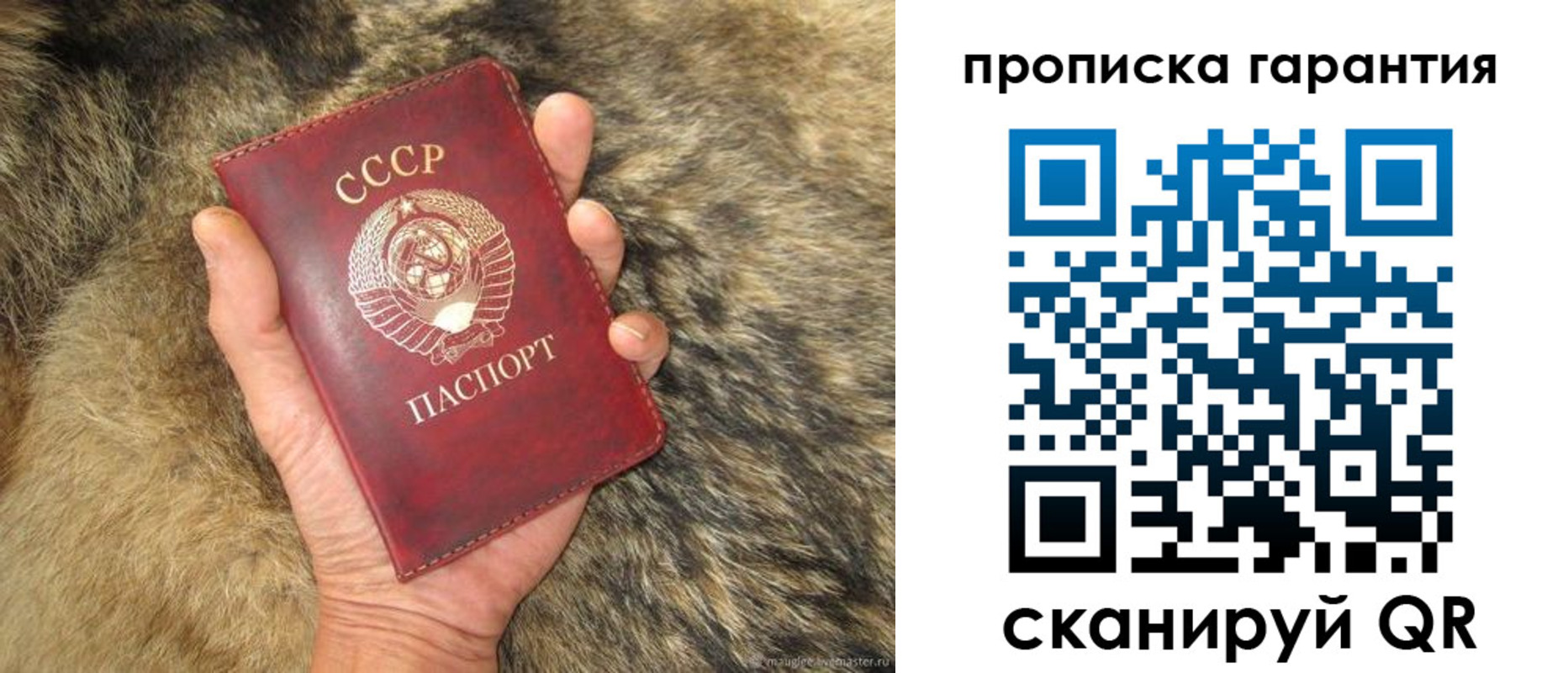 прописка паспорт в Балашихе